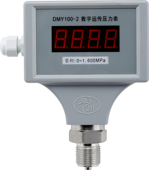 DMY100-2數字遠傳壓力表
